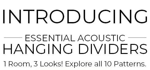 Divider Promo Text